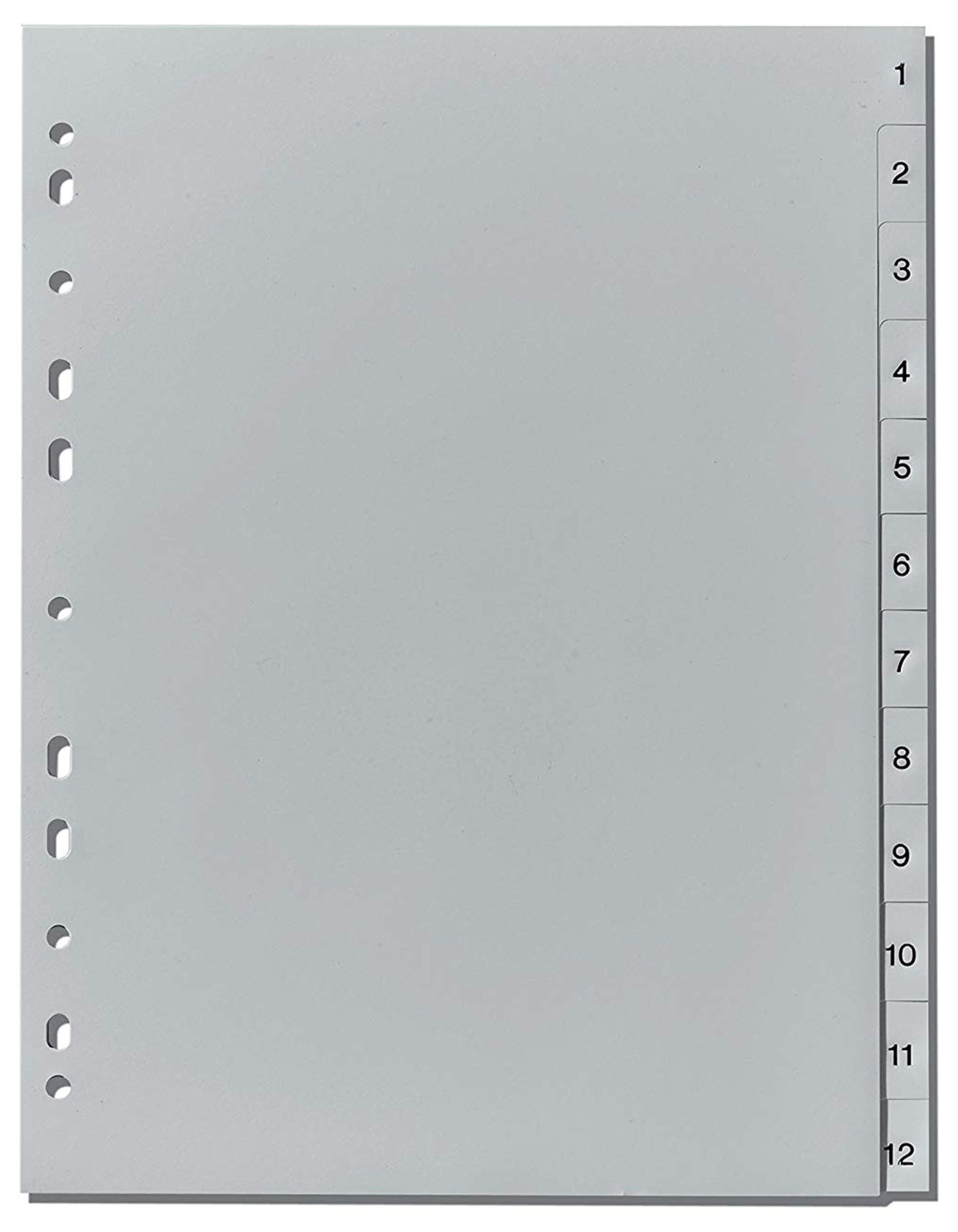 herlitz-register-a4-1-12-kunststoff-grau-eurolochung image 2
