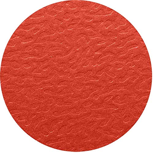oxford-eurofolio-sammelbox-a4-25-mm-rot-10er-pack image 6
