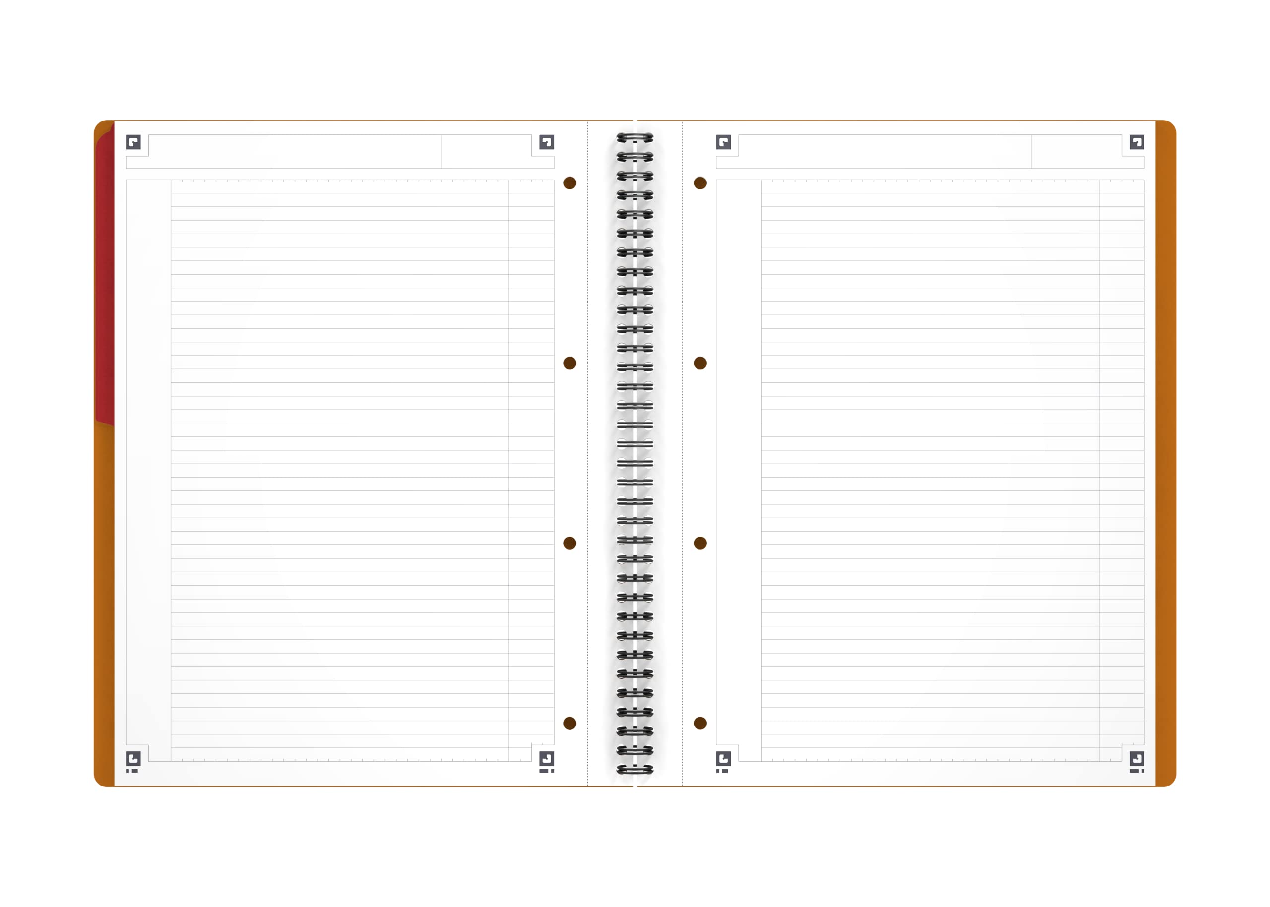 oxford-activebook-international-a4-liniert-160-seiten-5-st-ck image 4