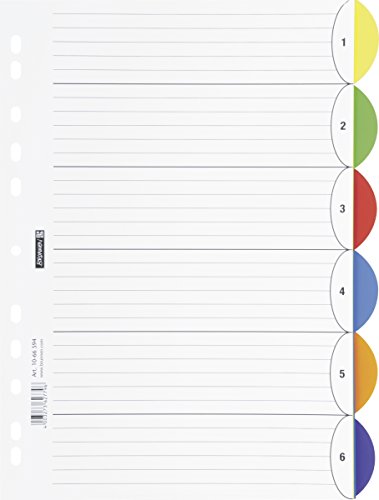brunnen-ordnerregister-ringbuchregister-colour-code-pp-a4-6-teilig-pink image 2
