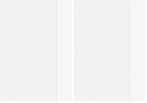 brunnen-1066946-ringbucheinlagen-a4-kariert-mit-rand-lineatur-26-70g-m-100-blatt image 8