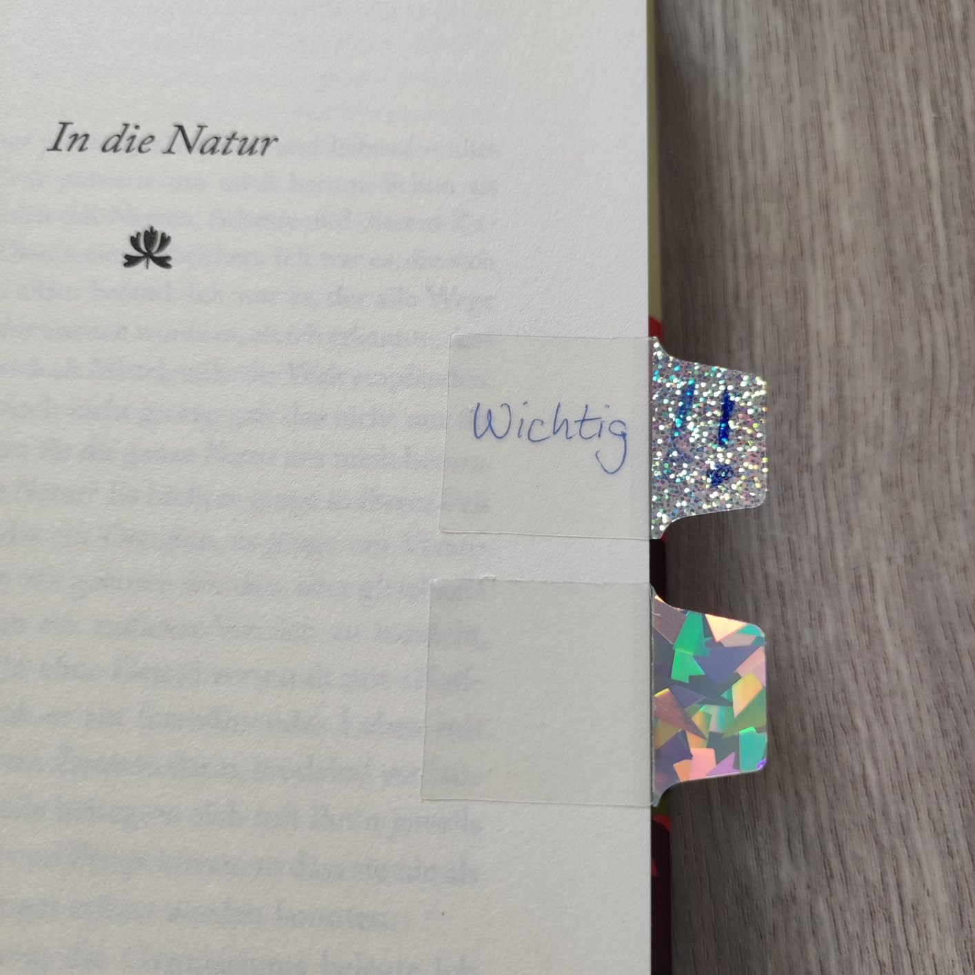 Ordnung in Akten und Büchern endlich im Griff