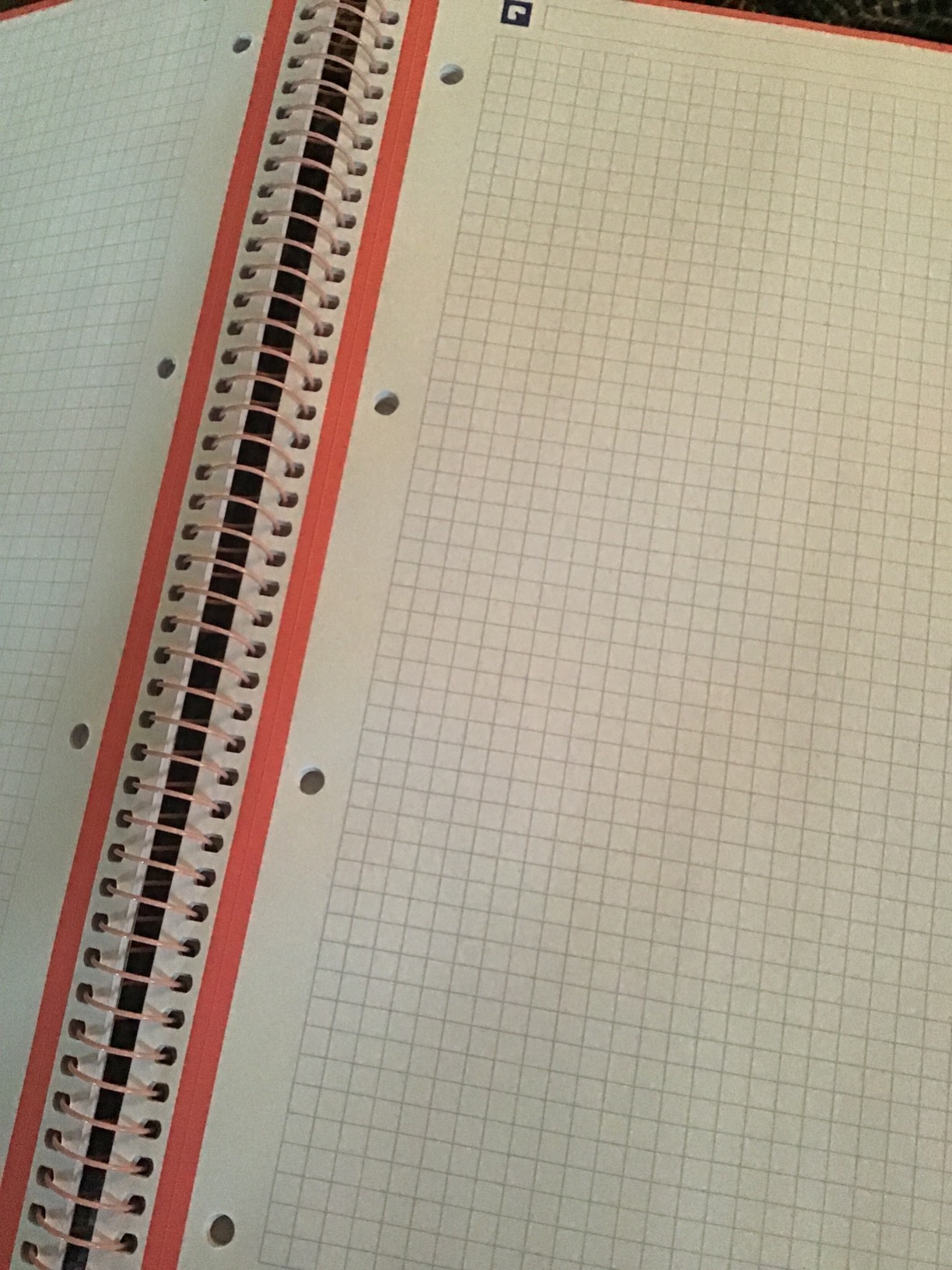Arbeitstier im Büroalltag