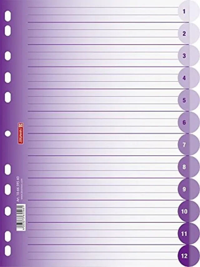 brunnen-colour-code-ordnerregister-a4-pp-12-teilig-violett-halbrund image 1