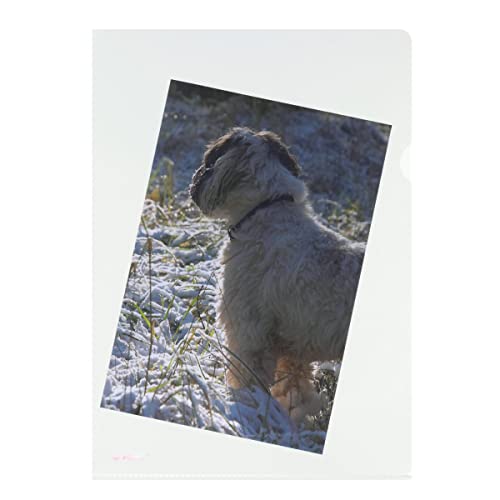 herlitz-aktenh-lle-a4-glasklar-dokumentenecht-100-st-ck image 8