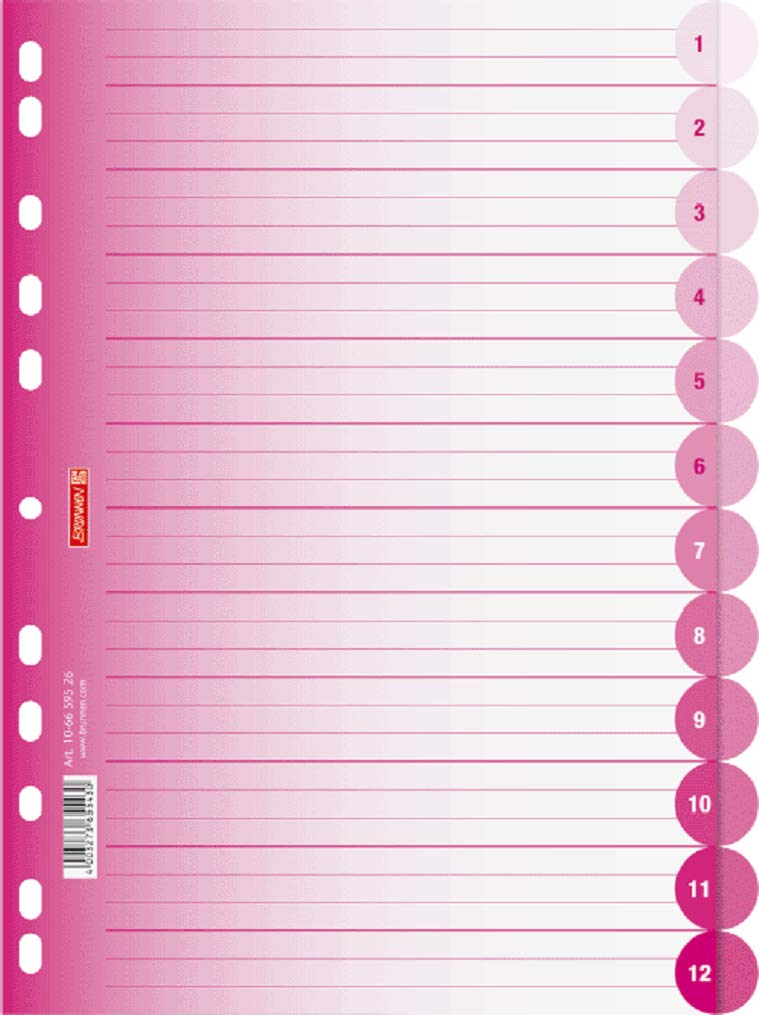 brunnen-106659533-ringbuchregister-colour-code-a4-12-tabs-blau-azur image 3