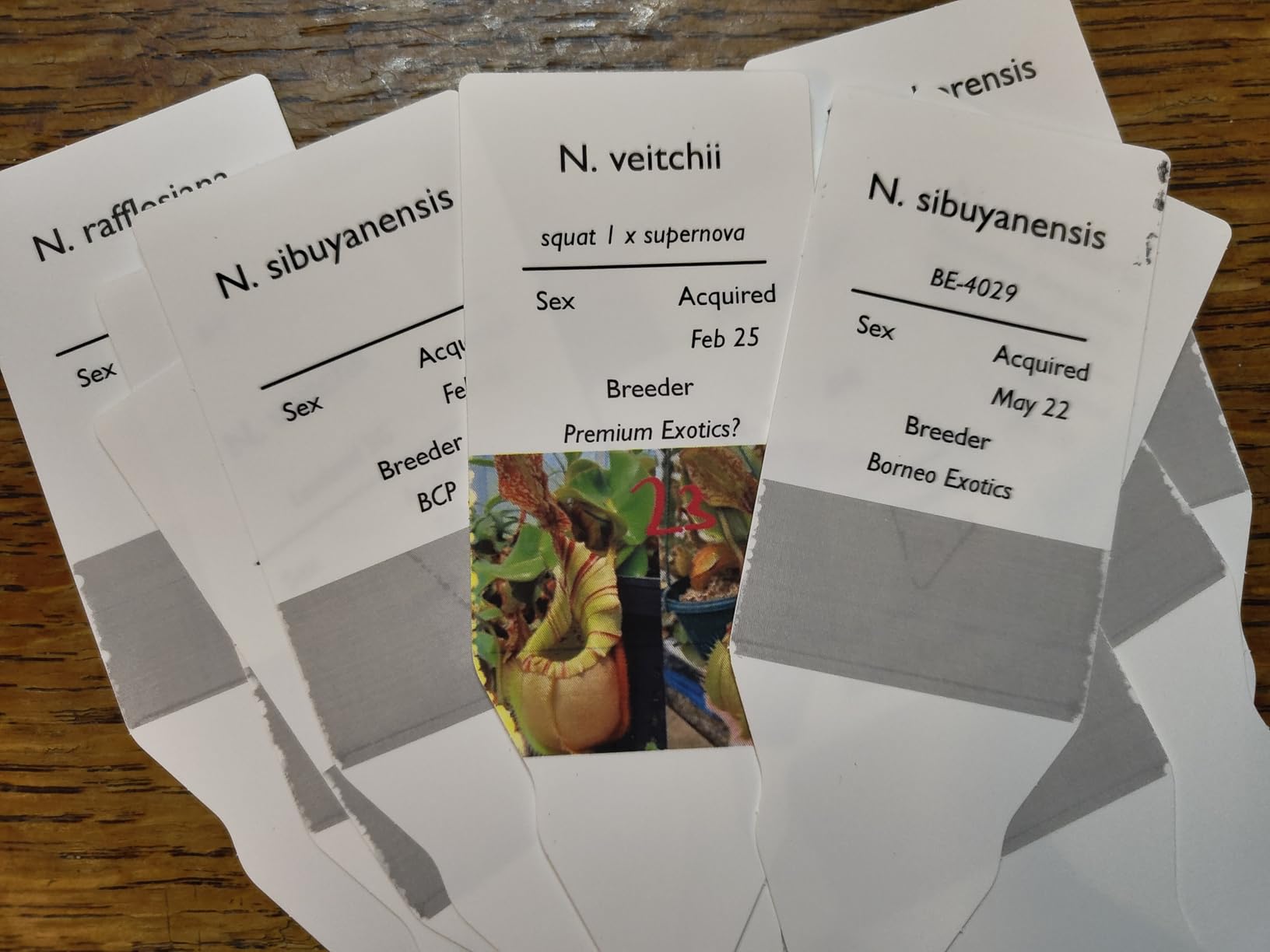 Ganz okay, mit Einschränkung
