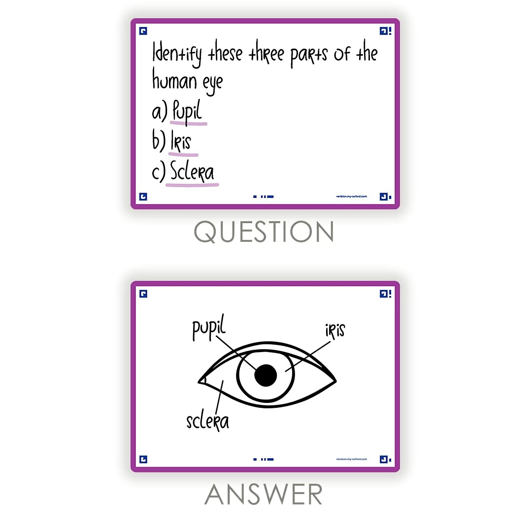 oxford-flash-2-0-flashcards-a6-blanko-hell-lila-80-st-ck image 6