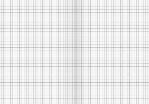 brunnen-schulheft-din-a4-16-blatt-liniert-kariert-lineatur-29-standard image 6