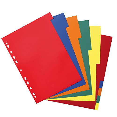 herlitz-ringbuch-register-a4-10-teilig-pp-folie-eurolochung image 3