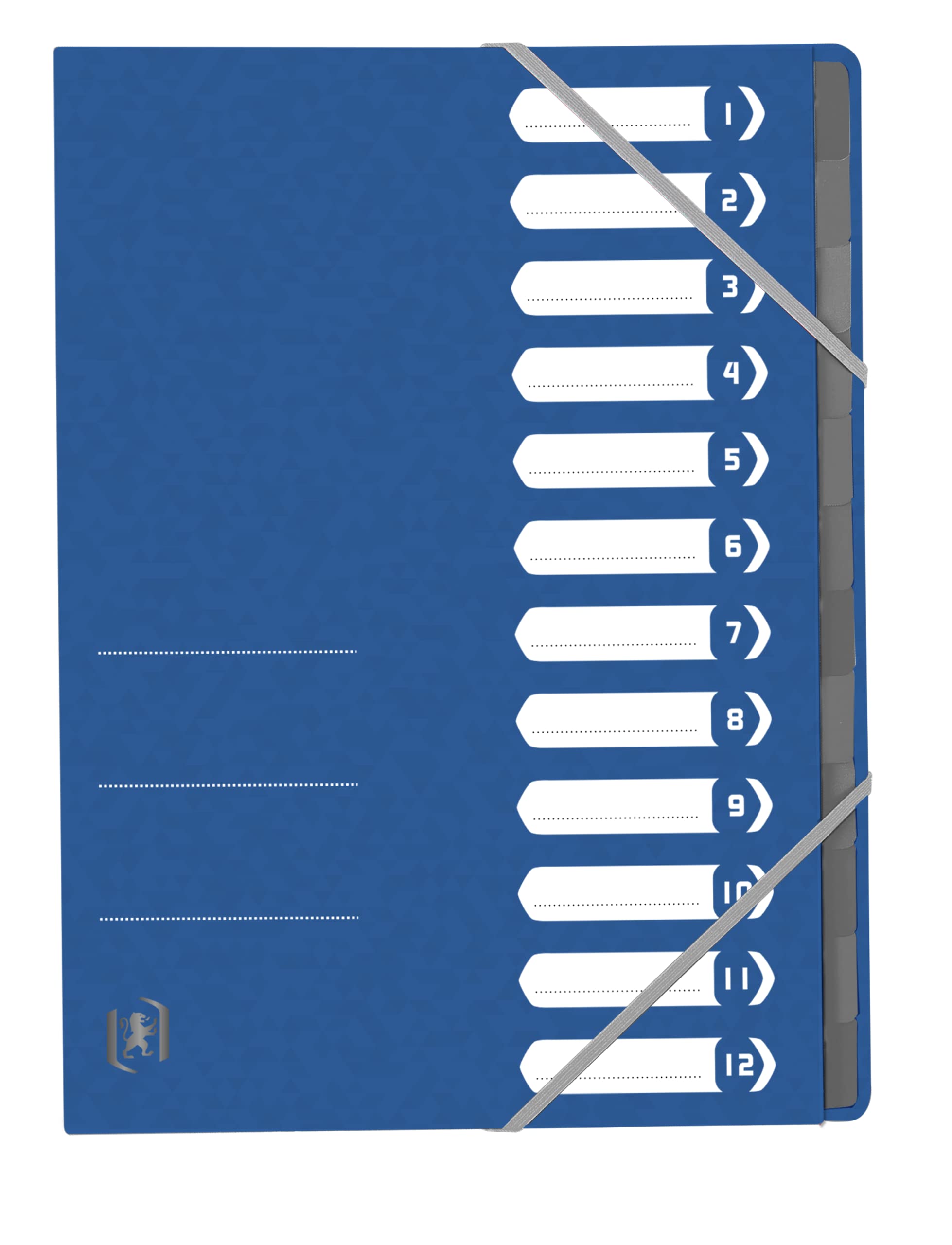 oxford-top-file-ordnungsmappe-a4-12-f-cher-blau-12-st-ck image 1