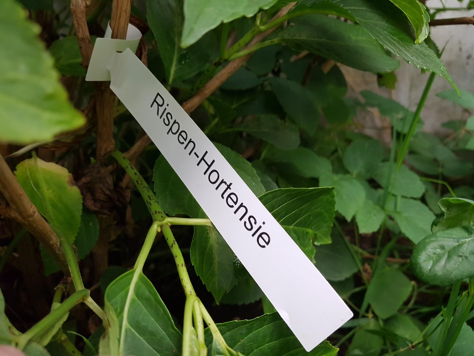 Preiswert und vielseitig