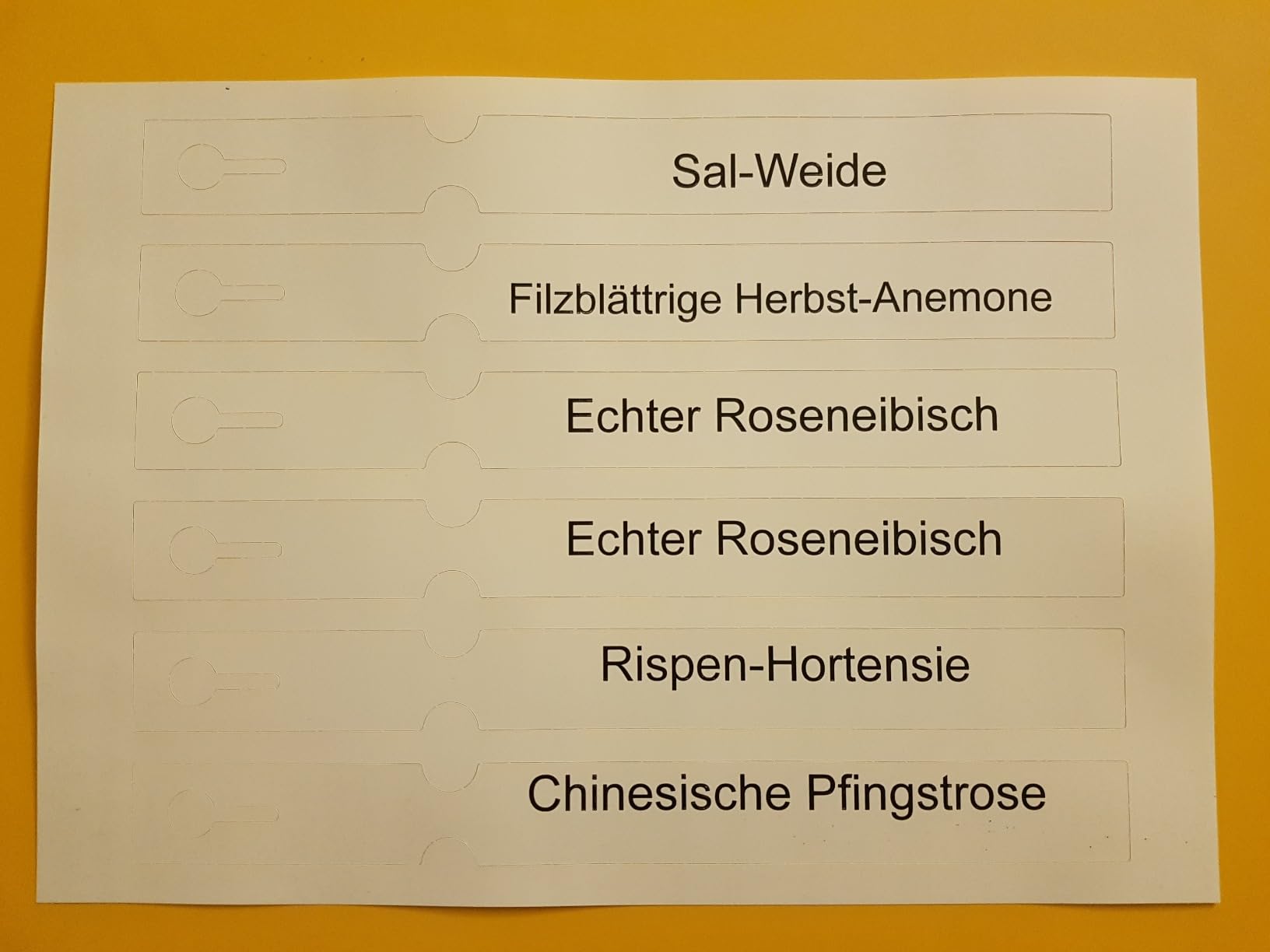 Hält was es verspricht