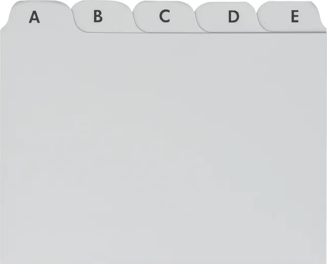 brunnen-karteiregister-fact-a7-grau-plastik-a-z-25-bl-tter image 1