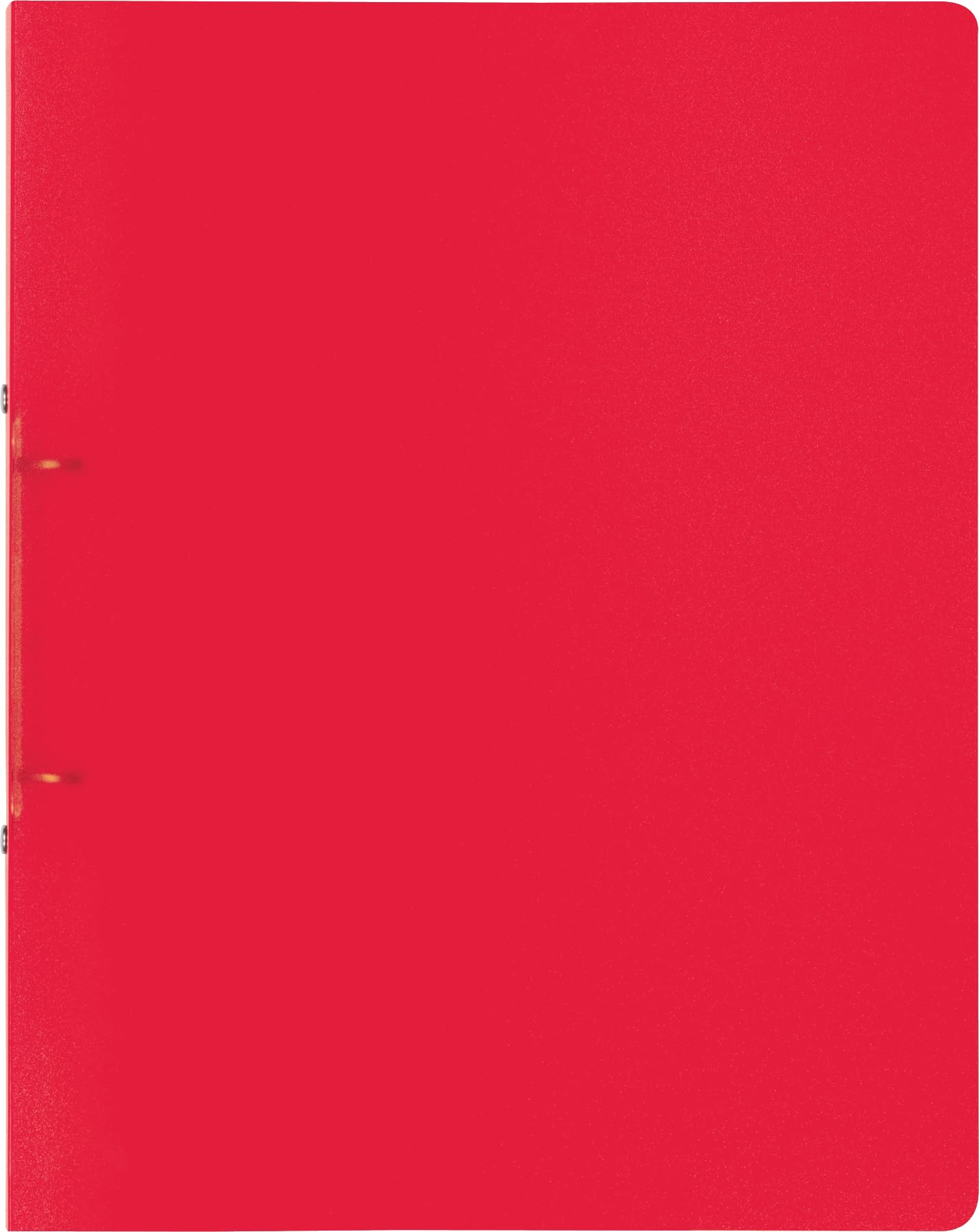 brunnen-fact-pp-ringbuch-a4-transluzent-25-mm-2-ringe-silber image 5