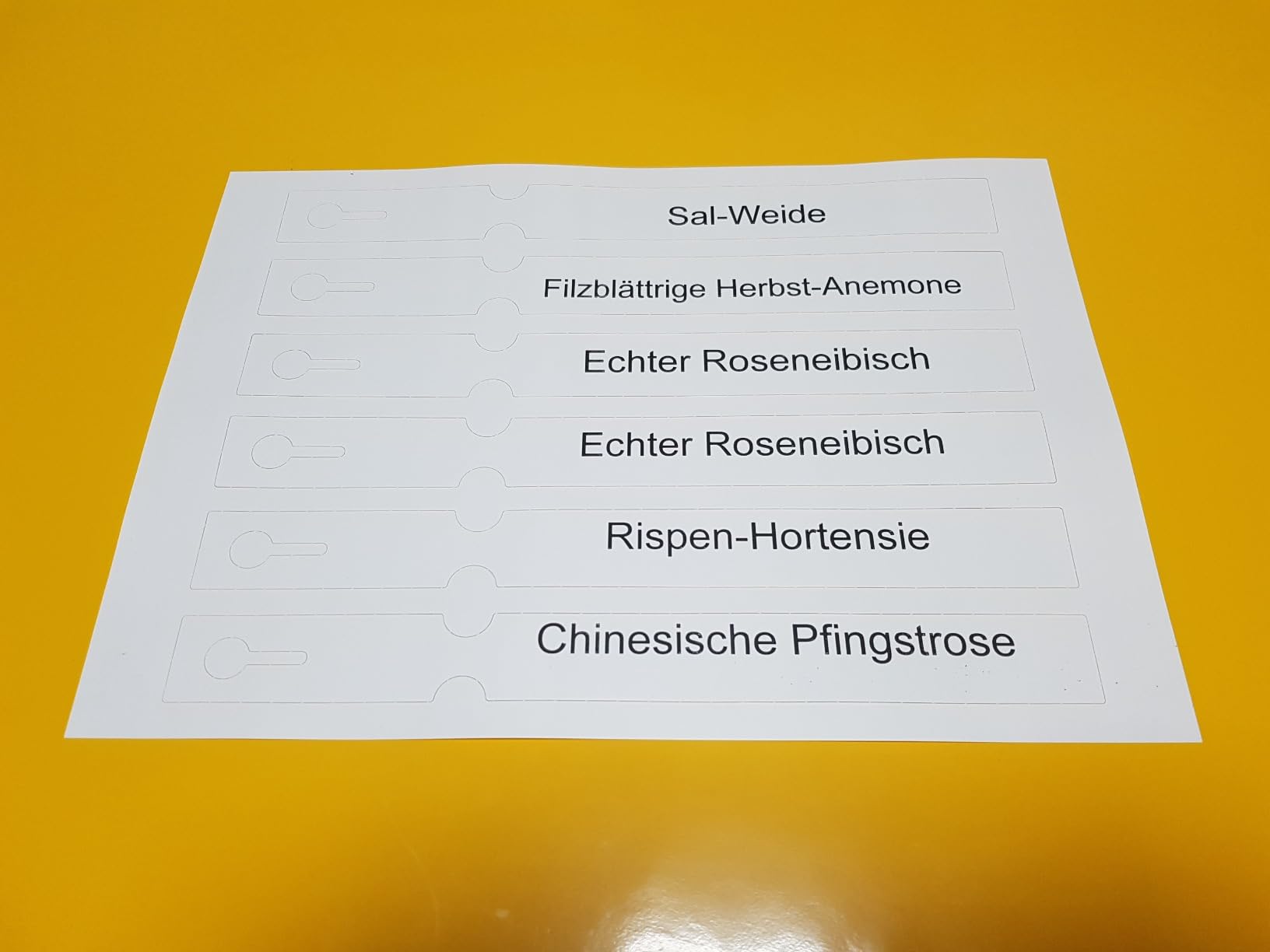 Gut, aber recht groß