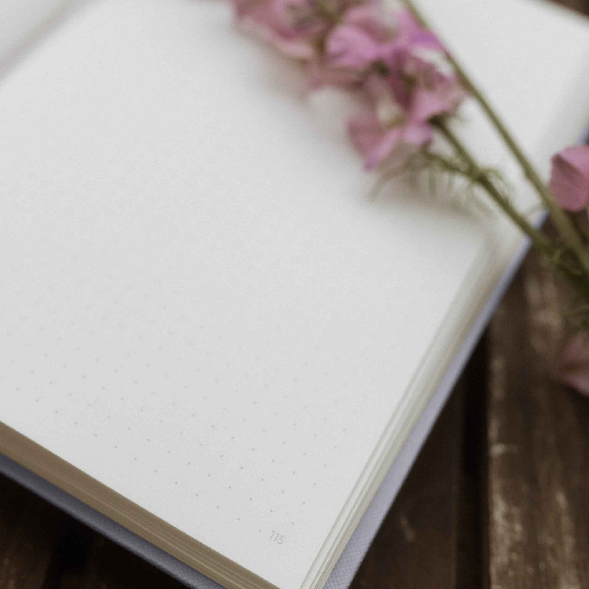 r-ssler-bullet-journal-a5-bujo-dot-grid-flieder image 3