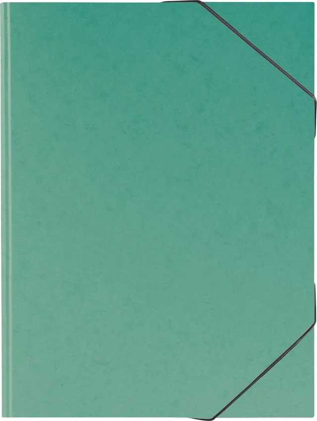 brunnen-sammelmappe-fact-plus-a3-karton-mit-gummizug-gr-n image 1