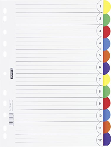 brunnen-1066595-ringbuchregister-a4-12-teilig-aus-pp-in-6-farben image 2