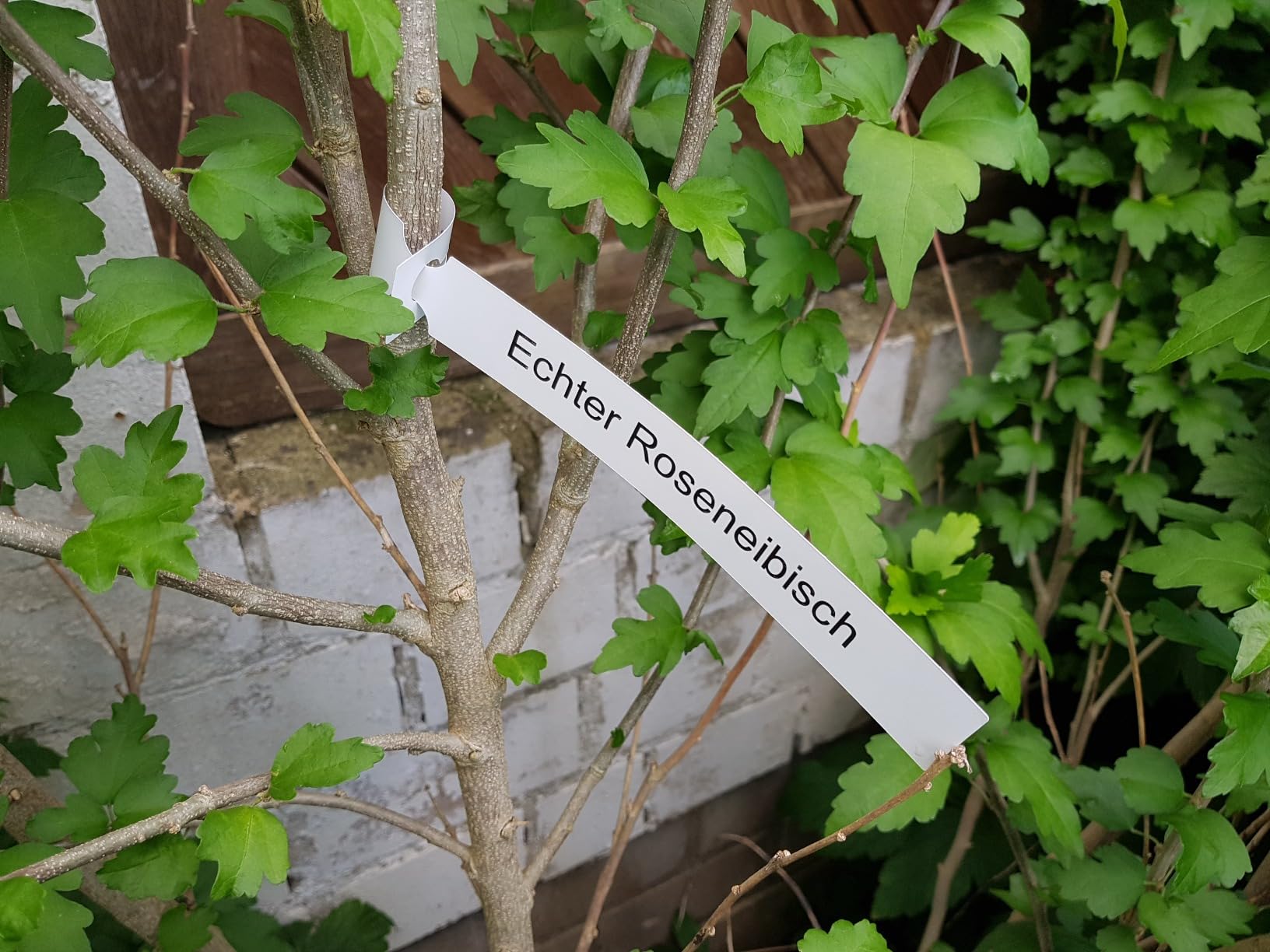 Für Versand und Inventur genial
