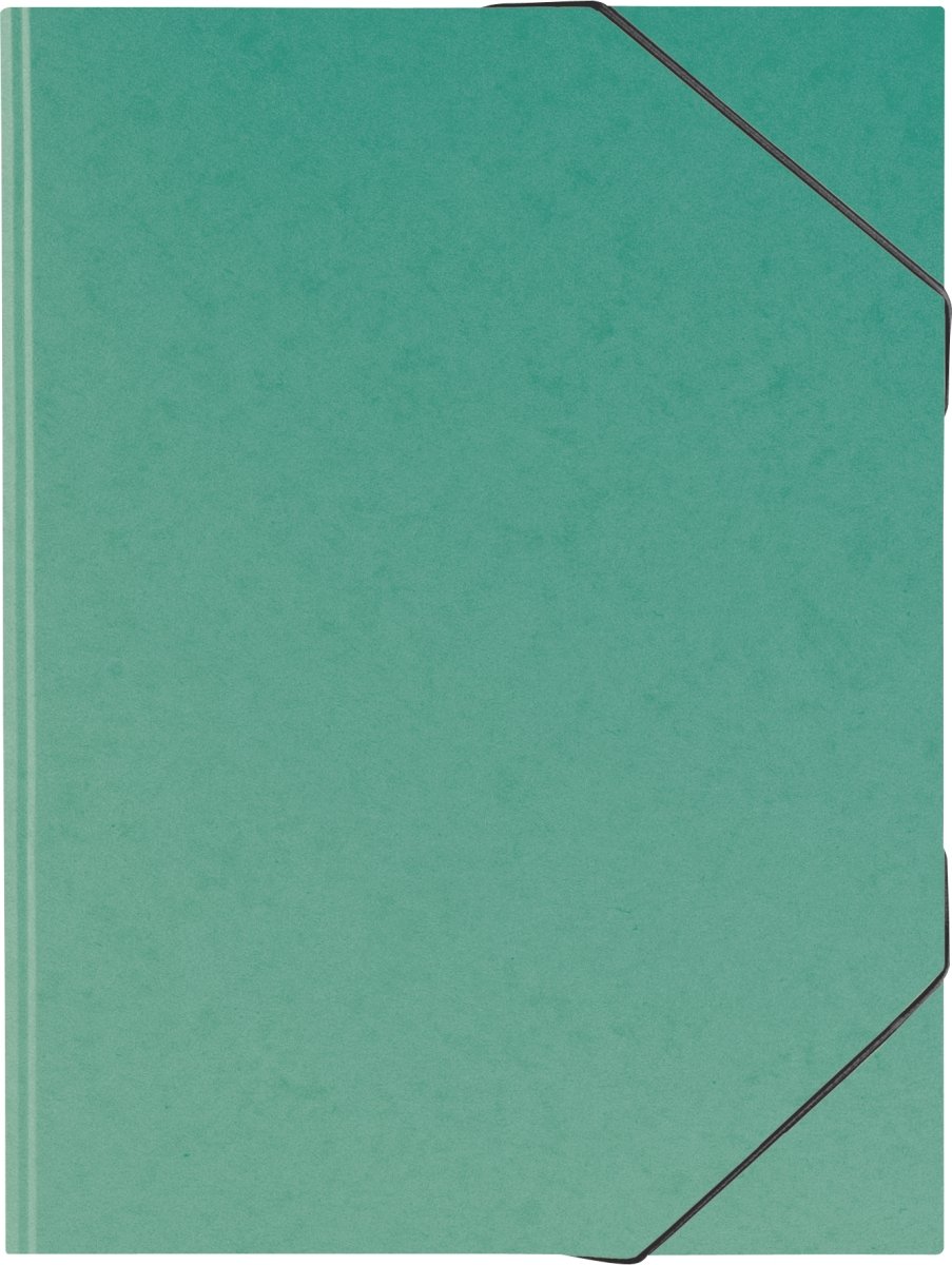 brunnen-sammelmappe-fact-plus-a3-karton-mit-gummizug-gr-n image 1