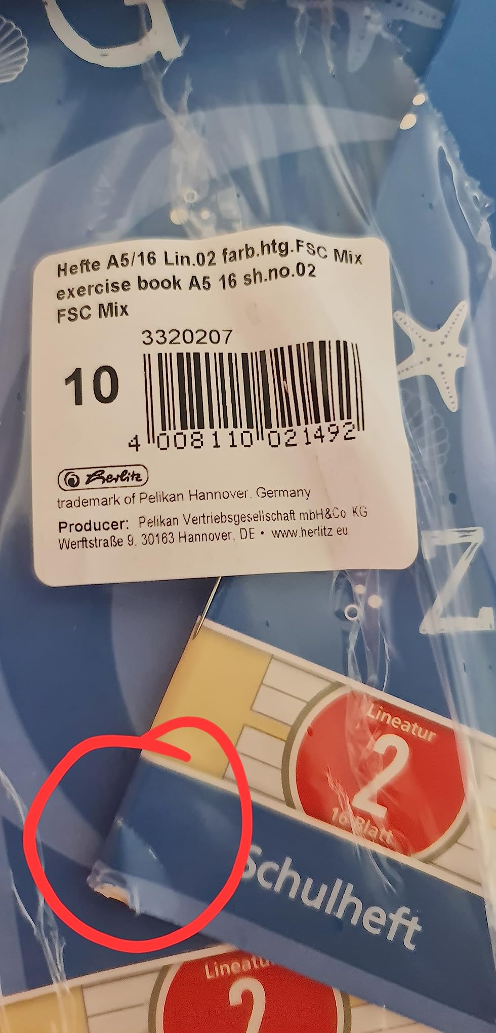 Top für Grundschüler