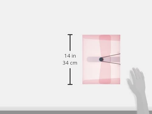 herlitz-sammelbox-a4-pp-folie-ros-transparent-4-cm-r-cken image 5