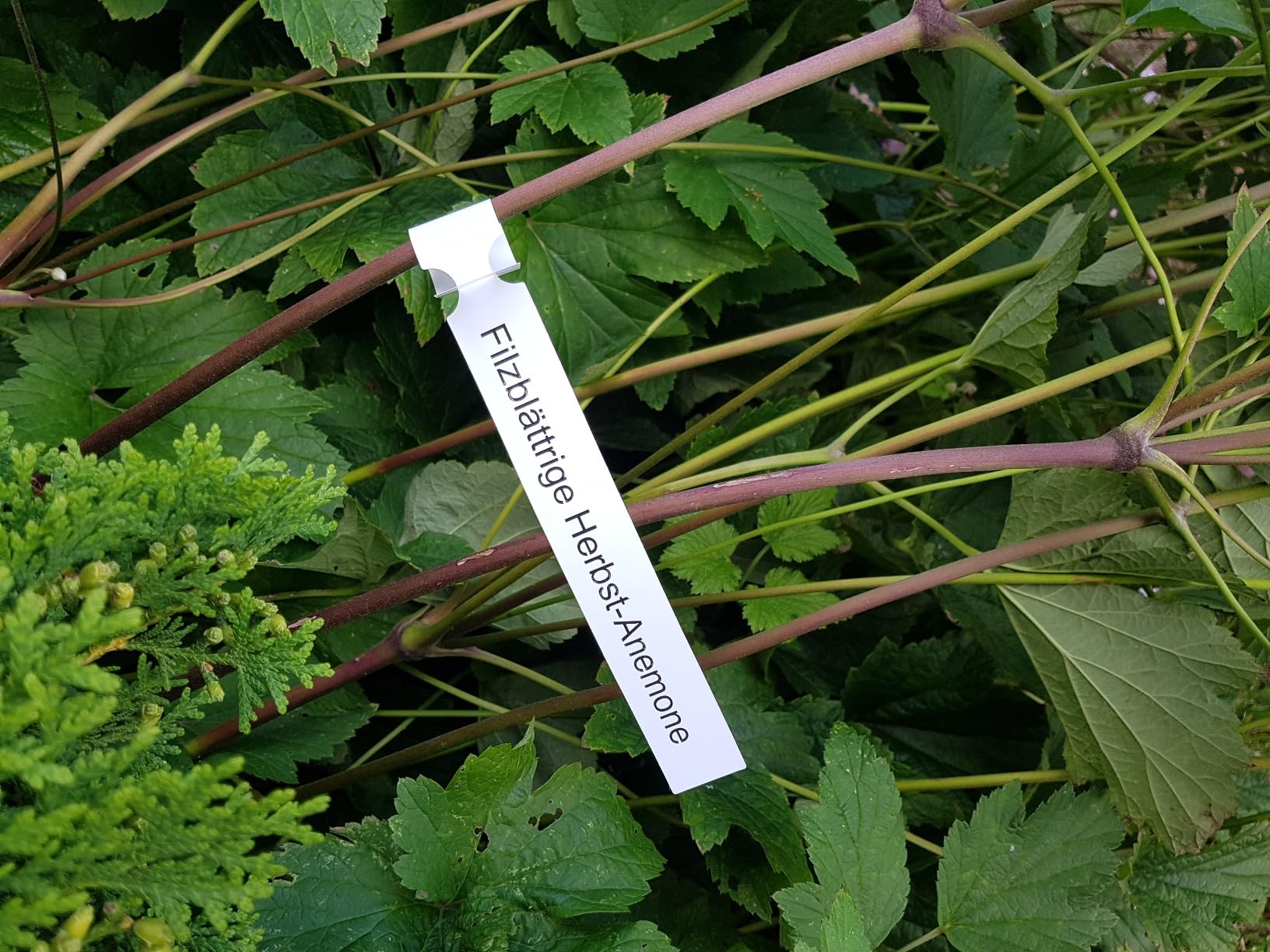 Gut für Garten und Lager