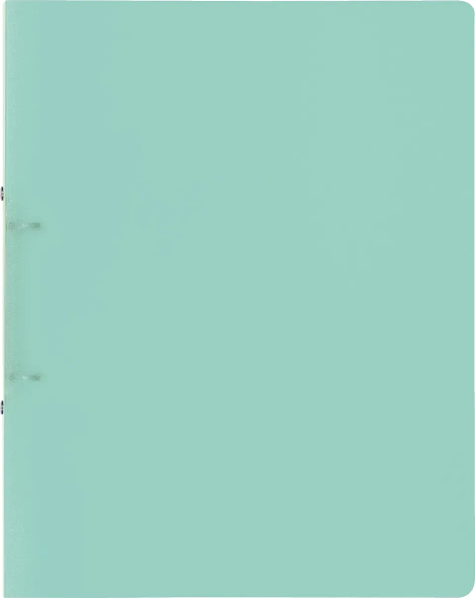 brunnen-fact-pp-ringbuch-a4-mint-2-ringe-16-mm image 1