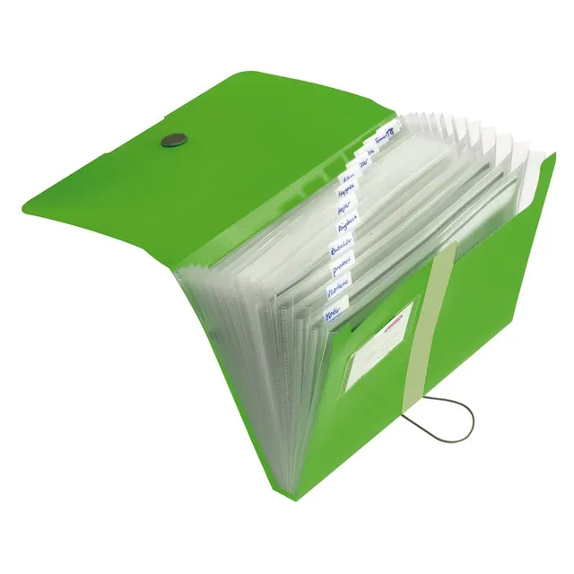 herlitz-easy-orga-to-go-f-chermappe-a4-mit-12-f-chern-hellgr-n image 1