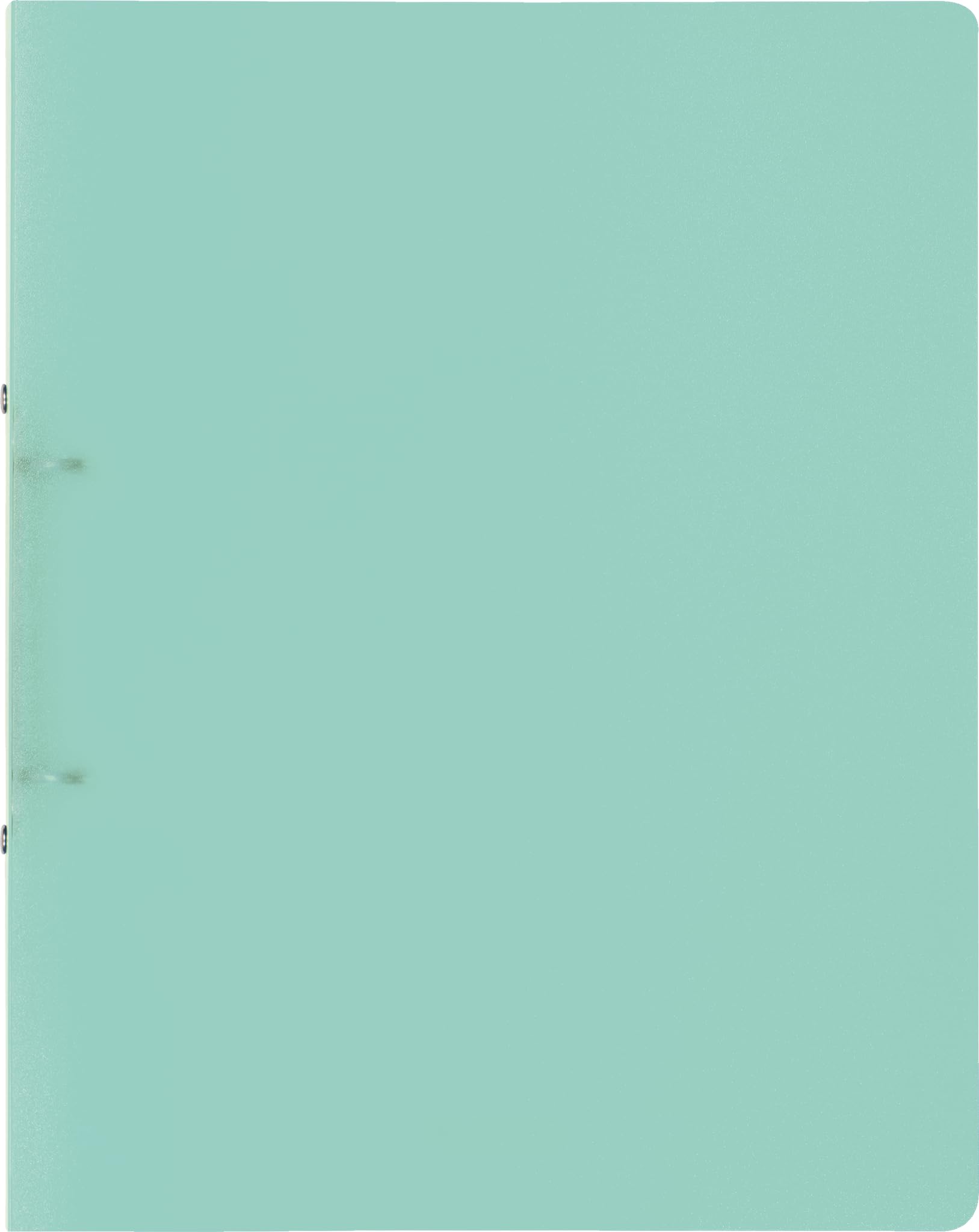 brunnen-fact-pp-ringbuch-a4-mint-2-ringe-16-mm image 1