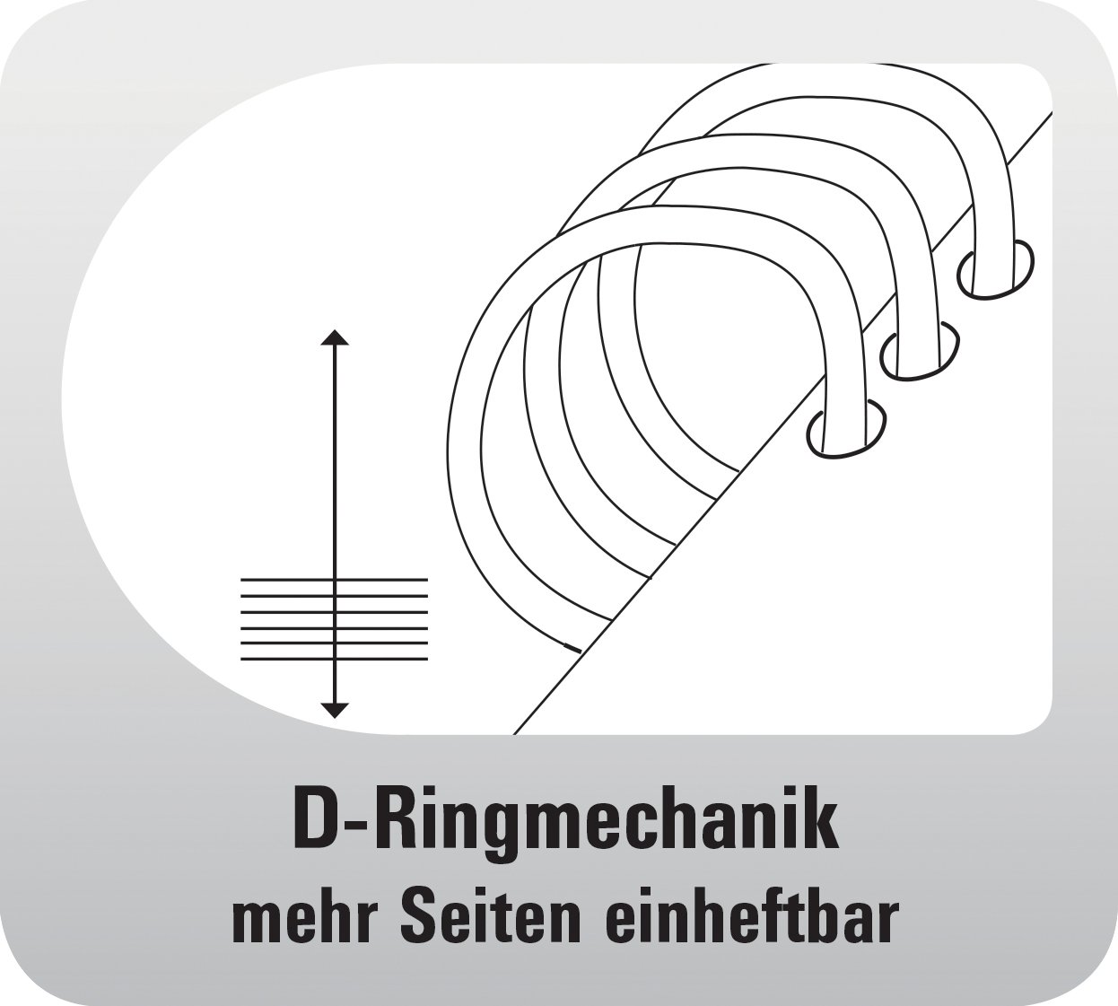 chronoplan-50101-terminplaner-mappe-a5-aus-rindnappaleder-mit-lasche-ringbuch-oh image 6