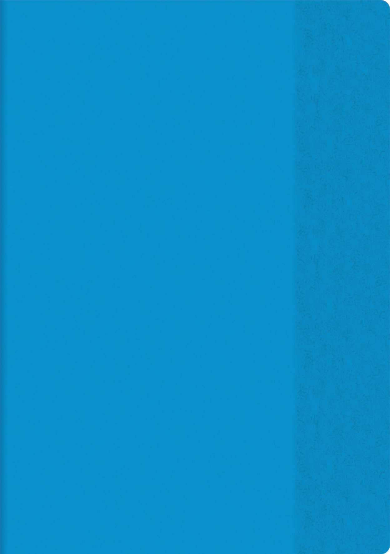brunnen-hefth-lle-a4-mit-namensschild-blau-pvc image 1