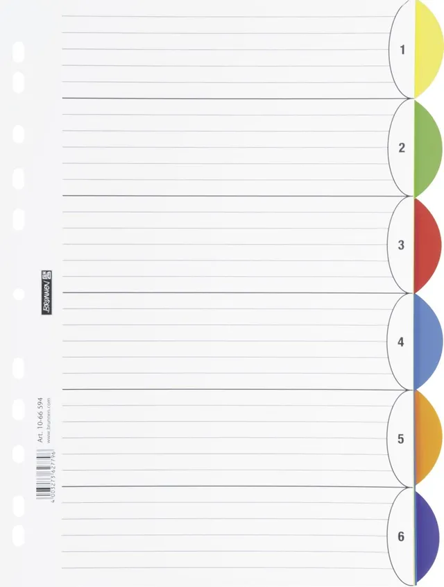 brunnen-ordnerregister-ringbuchregister-colour-code-pp-a4-6-teilig-pink image 1