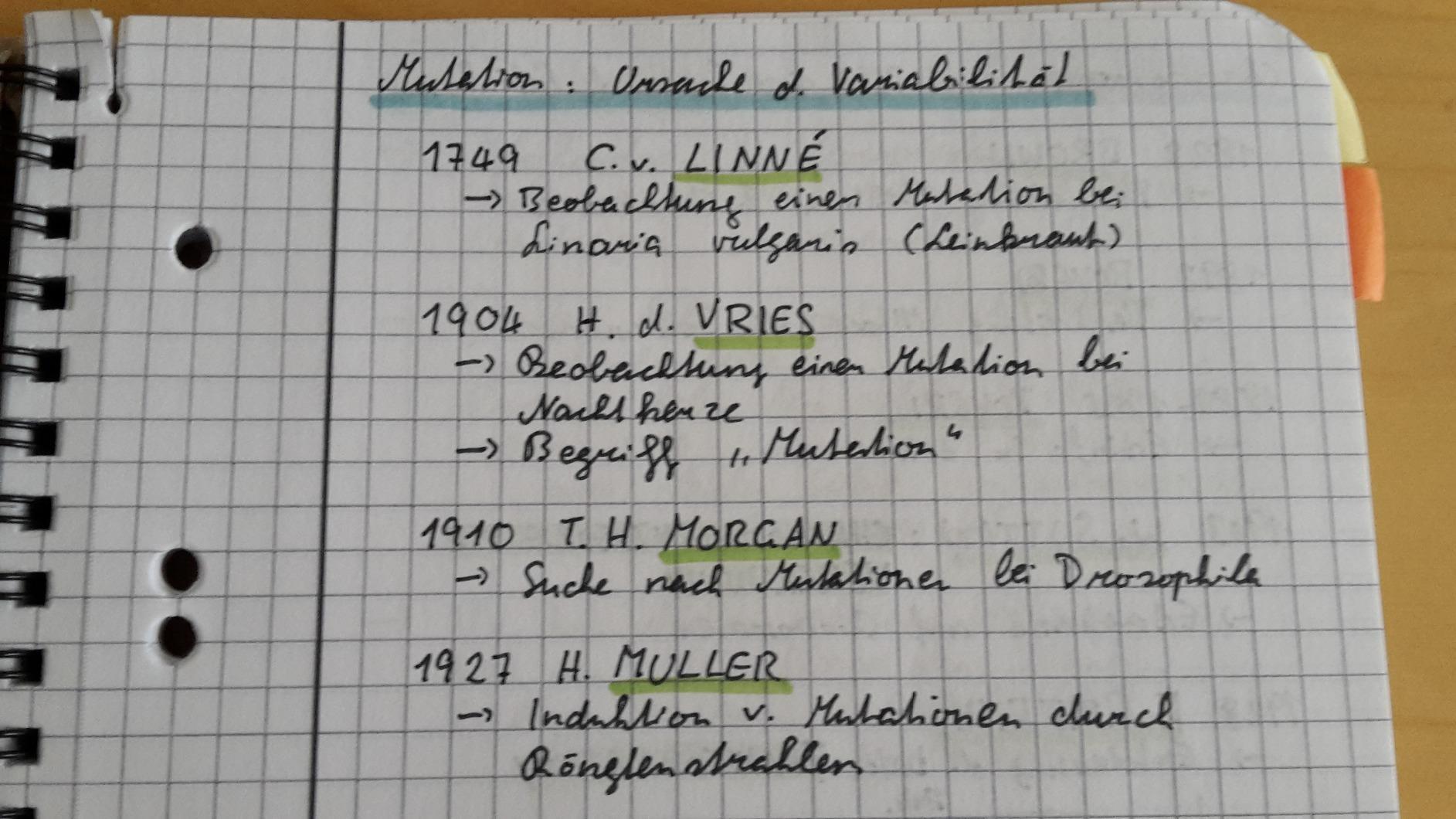 Gute Qualität für Schule und Studium