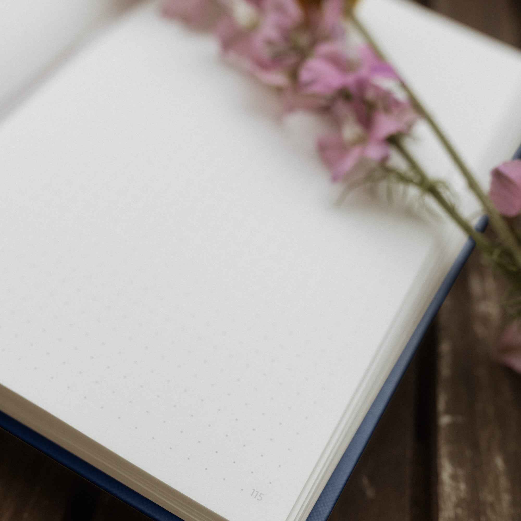 r-ssler-bullet-journal-a5-dot-grid-dunkelblau-192-seiten image 2