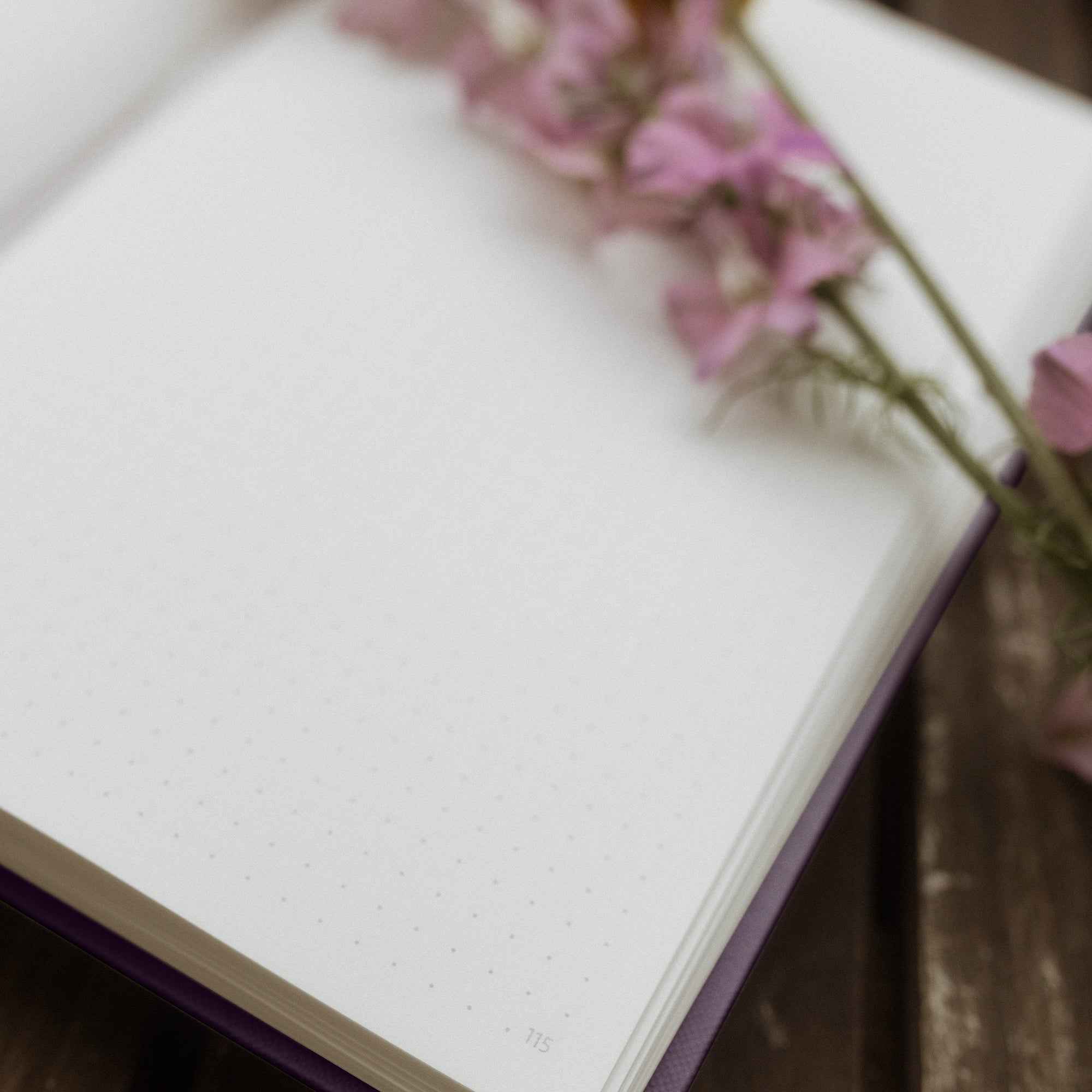 r-ssler-bullet-journal-a5-bujo-dot-grid-lila image 2