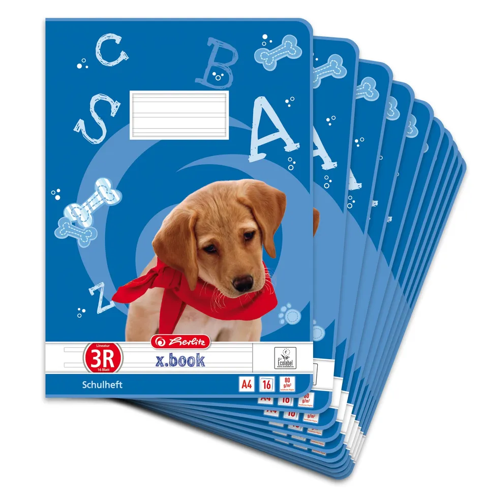 herlitz-schulheft-a4-lineatur-3r-3-klasse-16-blatt-10-st-ck image 1