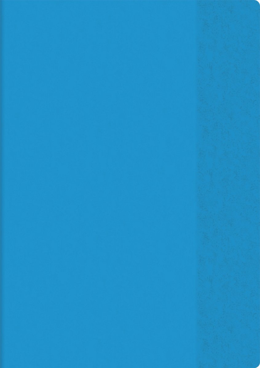 brunnen-hefth-lle-a4-mit-namensschild-blau-pvc image 2