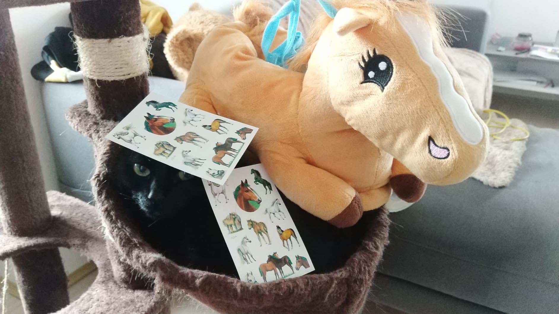Perfektes kleines Geschenk