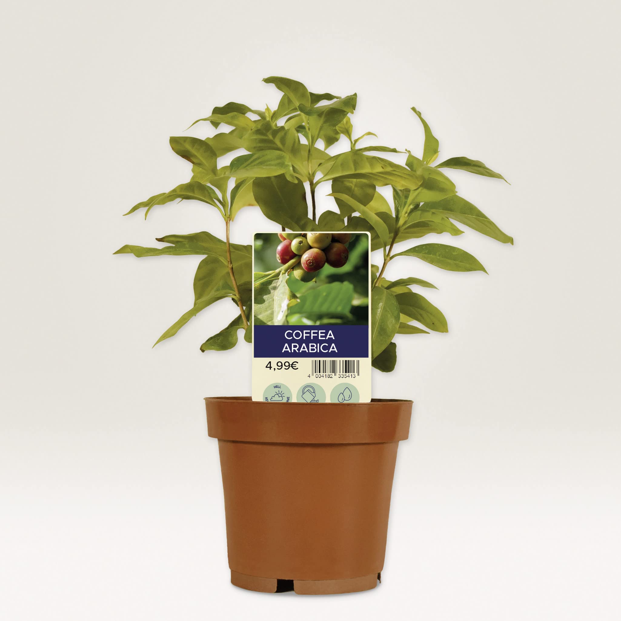 avery-zweckform-t3005-10-wetterfeste-steckschilder-120-pflanzenschilder-100-x-20 image 3